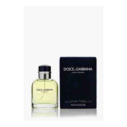 Туалетная вода Dolce&Gabbana арт. DO260LMEF149