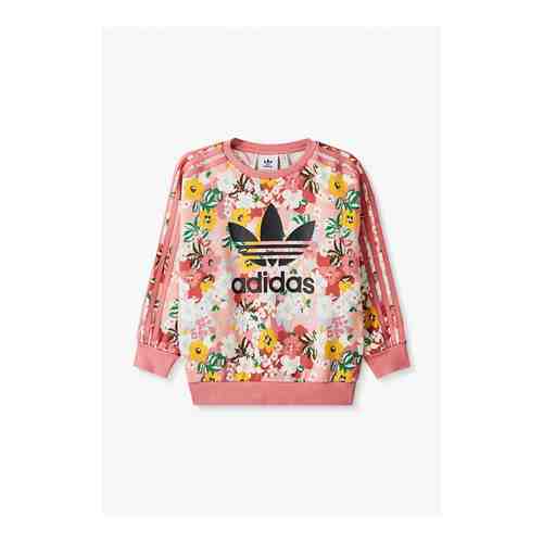 Свитшот adidas Originals арт. AD093EGLVUF3